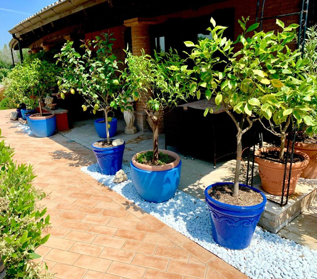 Villa Antares Pesaro Eksteriør billede